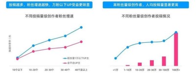 掌握软文魔法：顶级作者指南，引爆流量增长